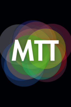Modern Type Thoery