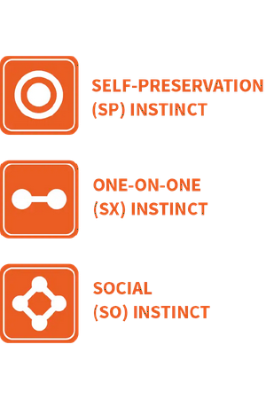 The Three Core Instinctual Variants