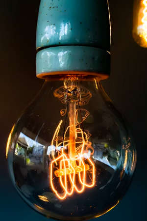 Business Leaders in Energy