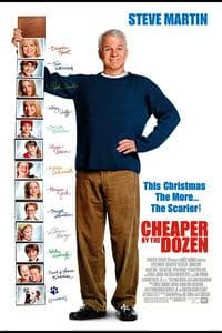 Cheaper by the Dozen (Franchise)