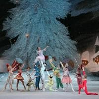 The Nutcracker (ballet)