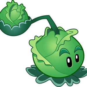 profile_Cabbage-Pult