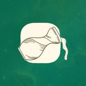 profile_Aquarius Sun (Vedic)