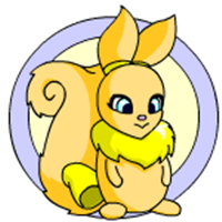 profile_Usul