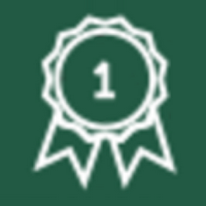 profile_Achiever (Acts on world)