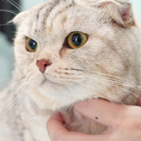 profile_Raon(SuriNoel)