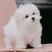 profile_Daegal (NCT)