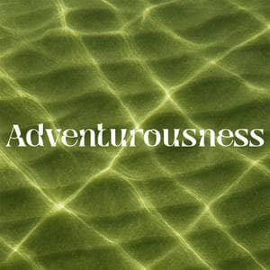 profile_Adventurousness