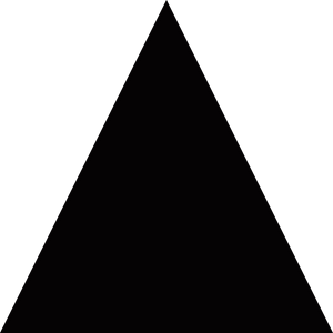 profile_Extroverted Intuition