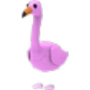 profile_Flamingo