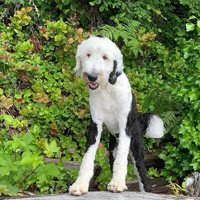 profile_Bunny (What About Bunny)