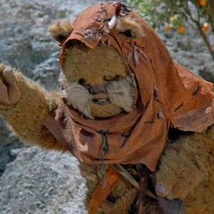 Widdle Warrick "Willy" MBTI Personality Type image