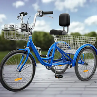 profile_Tricycle