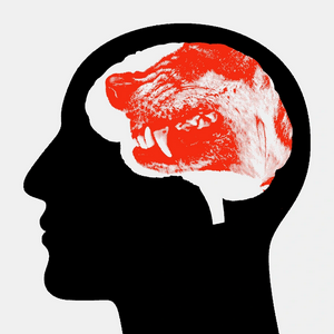 profile_Authoritarian conservatism