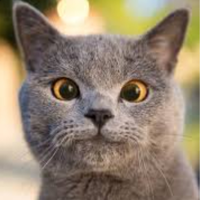 profile_Prince Michael (Aaron's animals)