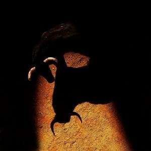 You mess with the bull, you get the horns. MBTI Personality Type image