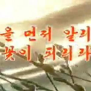 profile_Mansudae Art Troupe - I'll Be the Flower Heralding Spring