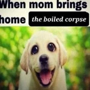 profile_Hercule Poirot