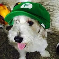 profile_Curly (Perro de Fernanfloo)