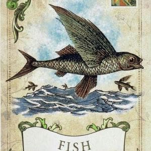 profile_Fish - XXXIV