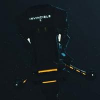 profile_The Invincible II