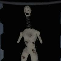 profile_Coil-Head